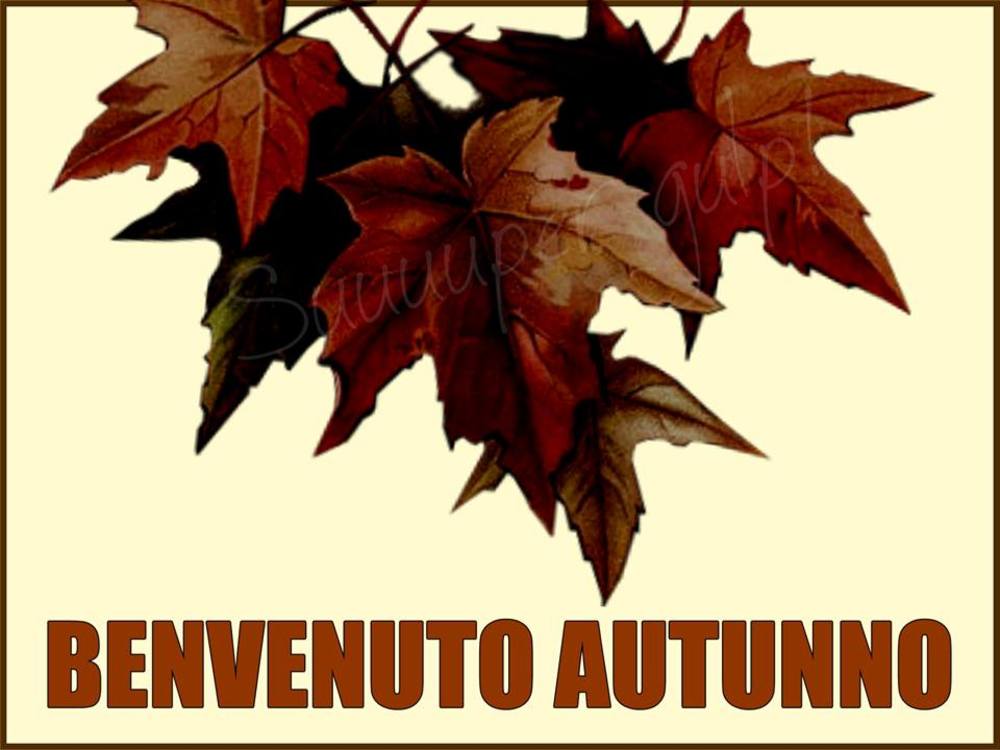 (13) Immagini e frasi di autunno da scaricare gratis e da condividere - 