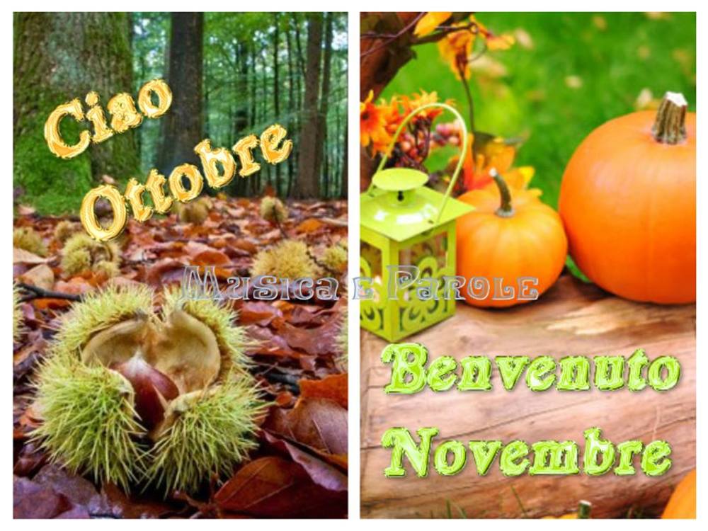 (15) Immagini e frasi di novembre da scaricare gratis e da condividere - 